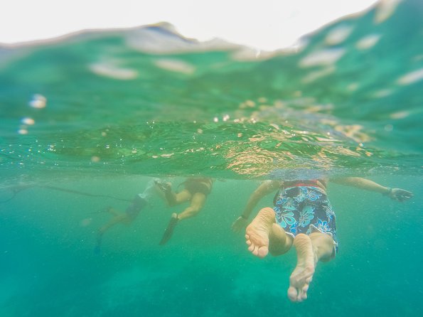 Viator Exclusive: Tulum Ruins, Reef Snorkeling, Cenote and Caves - Cenote ocean tours Mexico cenote and caves: the cool factor is real