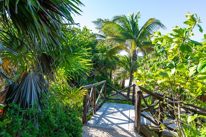 Viator Exclusive: Tulum Ruins, Reef Snorkeling, Cenote and Caves - What you eat and what you pack, from taco lunch to long sleeve sun shirts