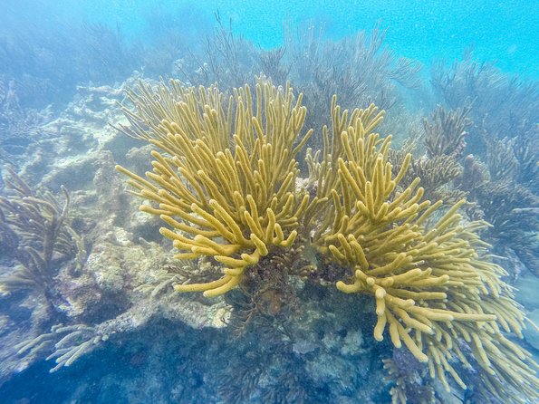 Viator Exclusive: Tulum Ruins, Reef Snorkeling, Cenote and Caves - Photos, photographers, and the end-of-tour upsell question