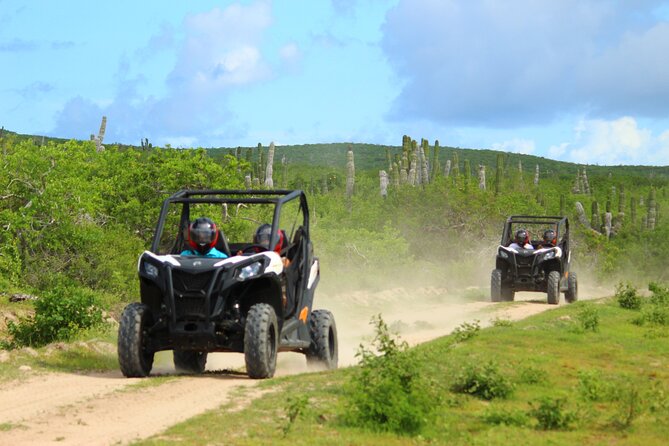 Viper Trail UTV Small-Group Experience in Cabo San Lucas - Key points before you go