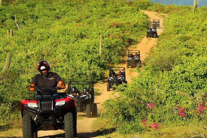 Viper Trail UTV Small-Group Experience in Cabo San Lucas - What you get included, what you pay for later