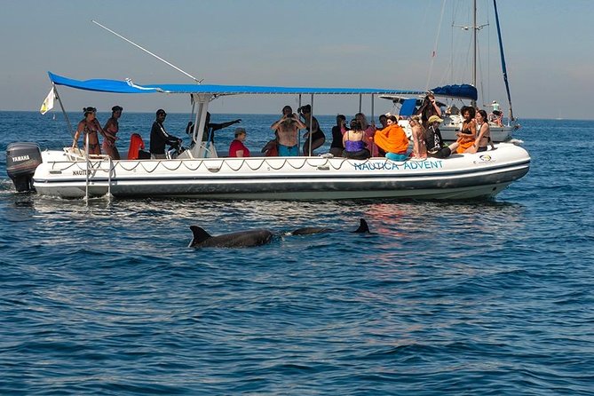 Whale and Dolphin Watching with a Biologist in Puerto Vallarta - How the 4 hours work on the water
