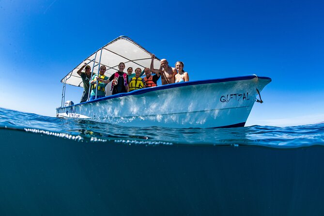 Whale Shark snorkeling tour in a reduced group with local marine biologist - Key takeaways before you go