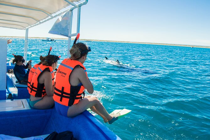 Whale Shark snorkeling tour in a reduced group with local marine biologist - The Day’s Rhythm: From Topete 125 to Multiple Snorkel Chances