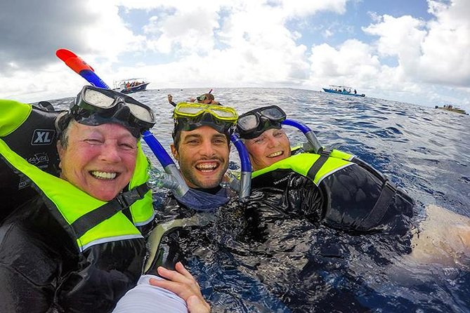 Whale Shark Tour from Cancun, Playa del Carmen, Tulum and Riviera Maya - The pre-dawn grind: pickup times that set the tone
