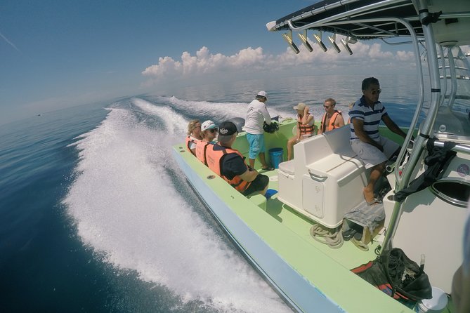 Whale Shark Tour from Cancun, Playa del Carmen, Tulum and Riviera Maya - Sunscreen and reef safety: what to do so you don’t get turned away