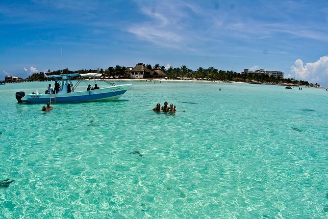 Whale Shark Tour from Cancun, Playa del Carmen, Tulum and Riviera Maya - What you actually get for $199, plus the day-of add-ons