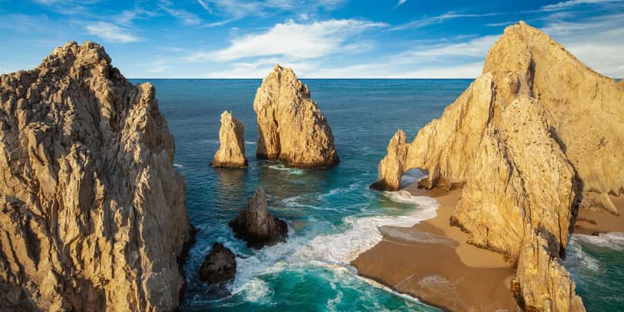 Whale Watching, Cabo San Lucas Arch, and a Trip to Playa del Amor - Sea lions and tropical fish: why the glass bottom is worth it