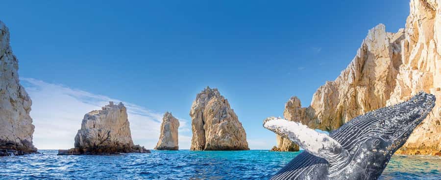 Whale Watching, Cabo San Lucas Arch, and a Trip to Playa del Amor - Rock names you’ll recognize, even if you don’t know the map
