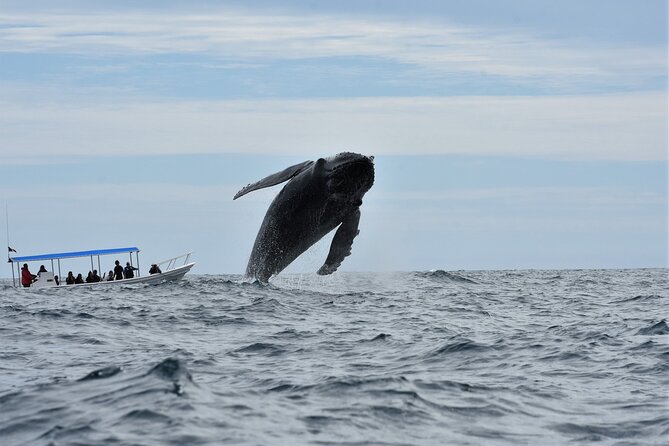 Whale Watching Cabo-Women crew-Sightings Guaranteed & Free Photos - The El Arco photo stop: a quick, worthwhile break from whale hunting