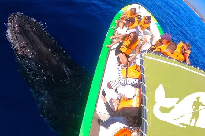 Whale Watching Cabo-Women crew-Sightings Guaranteed & Free Photos - Price and value: why $100.15 can still feel like a bargain