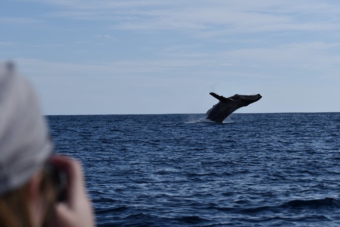 Whale Watching Cabo-Women crew-Sightings Guaranteed & Free Photos - What to bring so the trip feels easy
