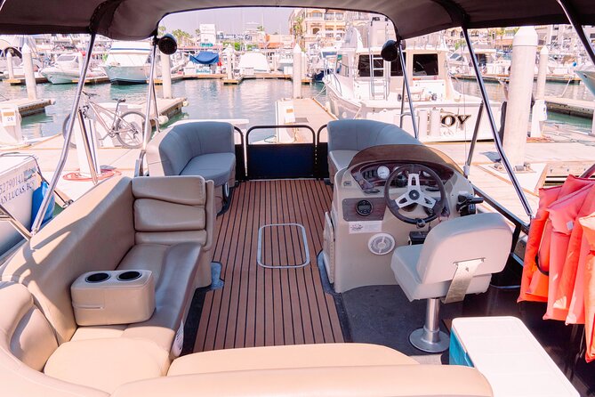 Whale Watching in Cabo San Lucas on board our Luxury Trimaran! - Price and logistics: is $115 a good deal or just marketing?