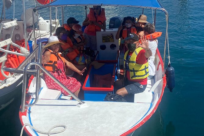 Whale Watching on a Glass Bottom Boat - Cabo San Lucas Whale Watching on a Glass Bottom Boat: The Big Picture