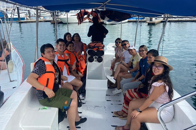Whale Watching on a Glass Bottom Boat - Who Should Book This Whale Watching Tour (and Who Might Skip It)