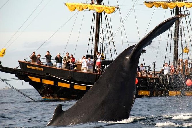 Whale-Watching Pirate Ship Cruise in Los Cabos - Breakfast and the open bar: fuel, comfort, and real value