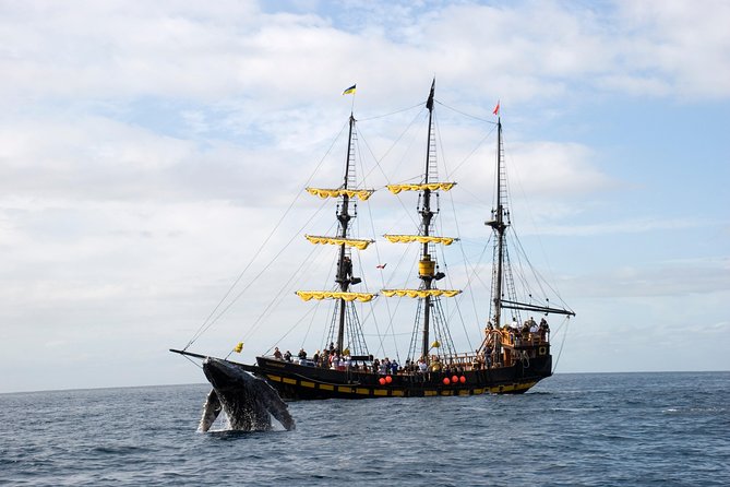Whale-Watching Pirate Ship Cruise in Los Cabos - Price and fees: what $99 really buys