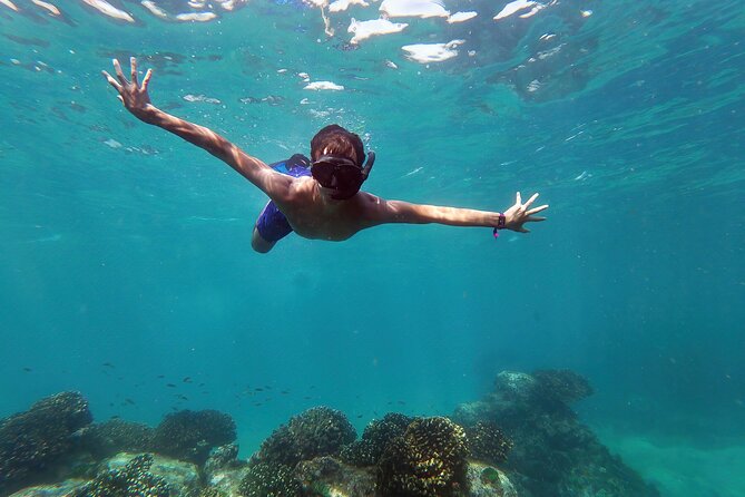 Whale Watching & Snorkeling Combo in Los Cabos with Photos Included - Key Highlights You Will Care About