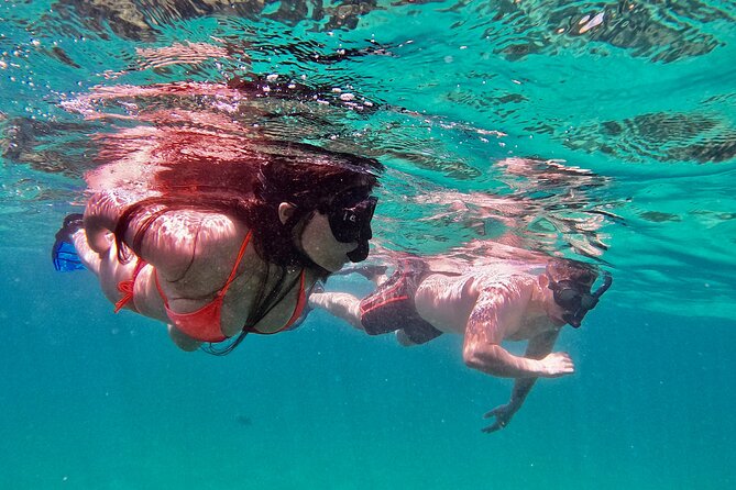 Whale Watching & Snorkeling Combo in Los Cabos with Photos Included - Cabo San Lucas Whale Watch and Snorkel, One Trip