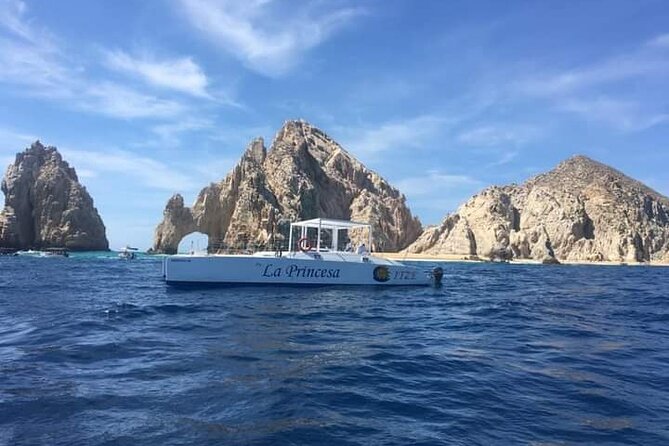 Whale Watching Tour in Los Cabos - Getting There: Marina Meeting Point, Pickup Rules, and Time Zones