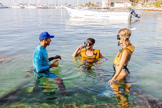 With Turtles, Shipwreck, Cenote, and Reef and Transport Included - Hotel Pickup to Marina Check-In: Expect a Tight, Simple Flow