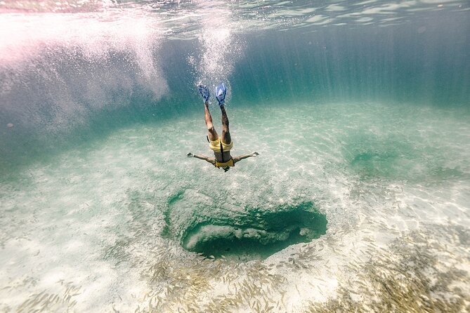 With Turtles, Shipwreck, Cenote, and Reef and Transport Included - How Long You’ll Spend Snorkeling, and Why It Still Feels Like a Short Day