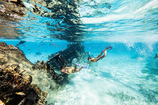 With Turtles, Shipwreck, Cenote, and Reef and Transport Included - Photos, Videos, and Other Add-Ons: Great Memories, Extra Costs