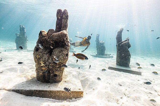 With Turtles, Shipwreck, Cenote, and Reef and Transport Included - Price and Dock Fees: The Real Number You Should Expect to Pay