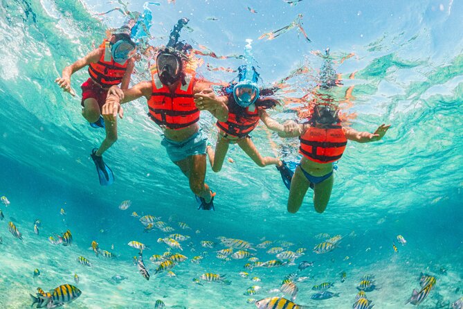 Xcaret Park Day Trip, transportation and Cultural Night Show - How the night show fits in, and why it is worth staying
