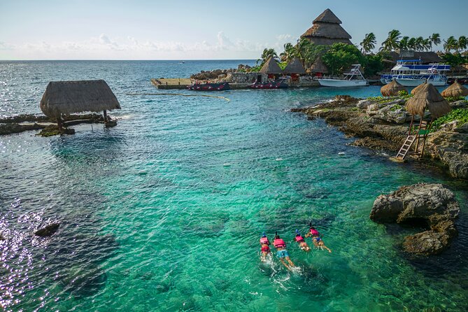 Xcaret Park Day Trip, transportation and Cultural Night Show - Nature you can actually slow down for: orchids, butterflies, birds, aquarium, and animal shelters