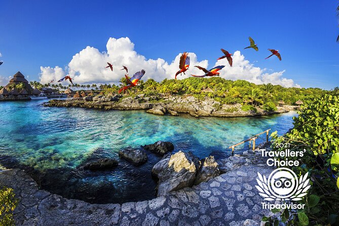 Xcaret Park Entry Tickets with Cultural Night Show Included - Espectacular at night: your payoff for staying late