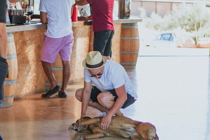 Xecue Wine Tasting in the Guadalupe Valley - Five wines in a smart order: what you taste and why it matters