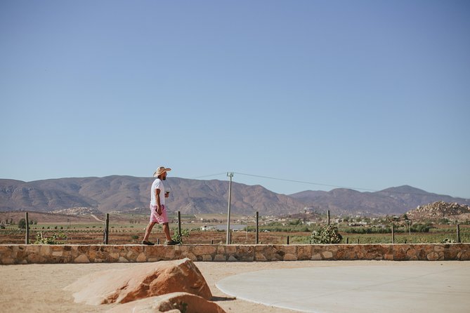 Xecue Wine Tasting in the Guadalupe Valley - The food pairing: grilled beef ribs and a cheese board worth saving room for
