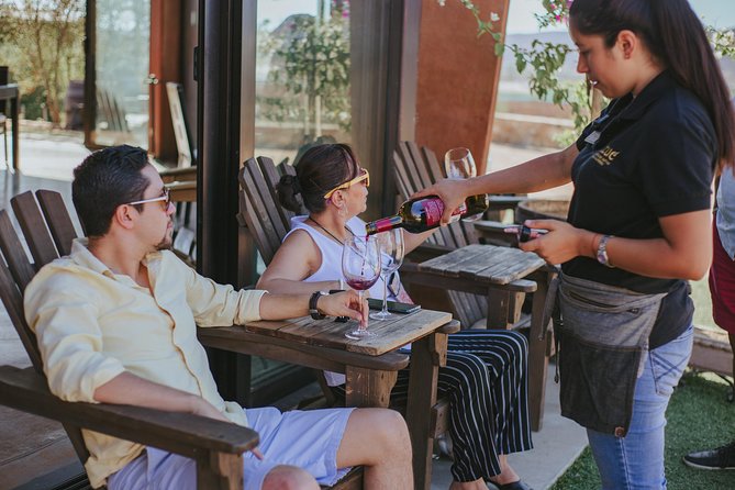 Xecue Wine Tasting in the Guadalupe Valley - Timing and pacing: a one-hour experience that still feels guided