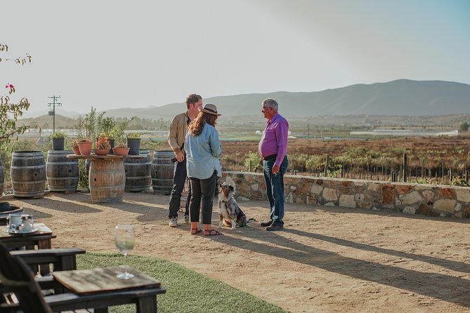 Xecue Wine Tasting in the Guadalupe Valley - Small-group value: why a cap of 10 travelers helps