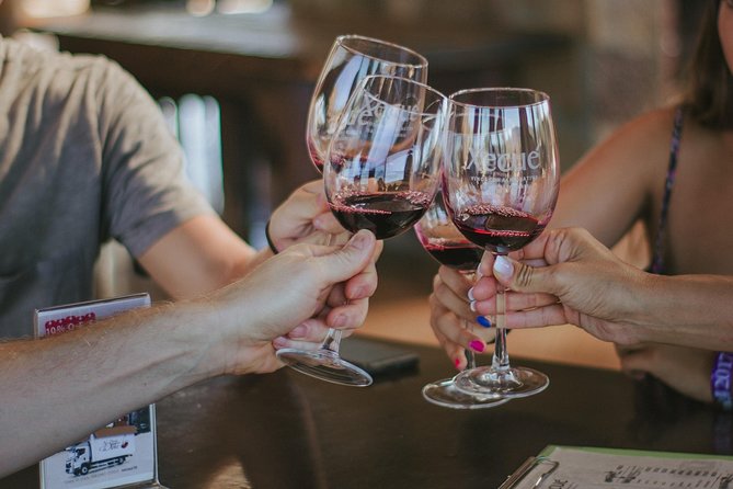 Xecue Wine Tasting in the Guadalupe Valley - English tour, mobile ticket, and practical planning tips