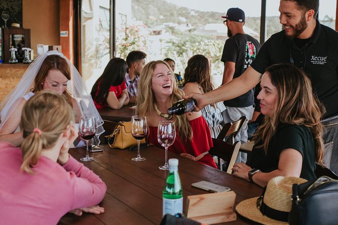 Xecue Wine Tasting in the Guadalupe Valley - The tasting room experience, with outdoor views that change the tempo