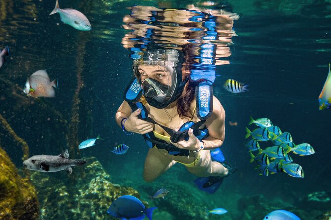 Xel-Ha Tickets with Transportation included - All-inclusive vs Light: the real value call