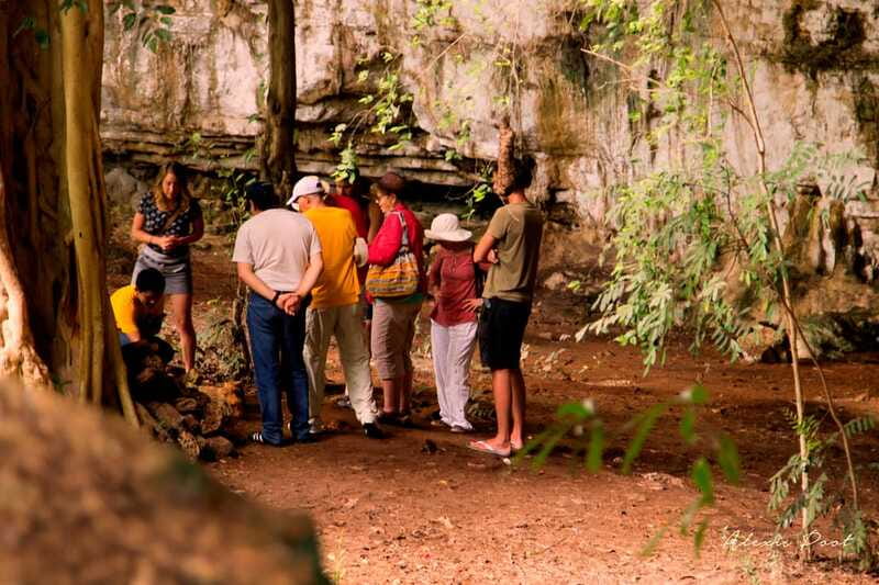 Xkopek, Mayan Bees Tour and Honey Tasting in Valladolid - The plant walk that explains the flavors you will taste later