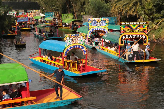 Xochimilco, Coyoacan and Frida Kahlo with Optional Lunch - Key things I’d watch for before you go