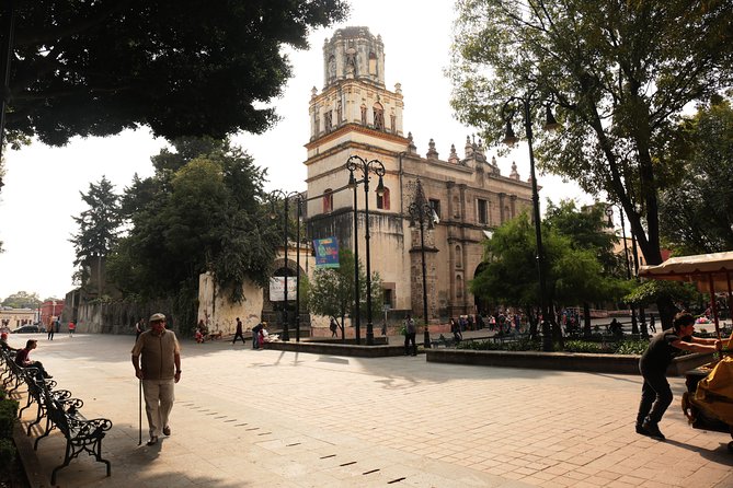 Xochimilco, Coyoacan and Frida Kahlo with Optional Lunch - Value check: what you get for $34.25 and what upgrades change