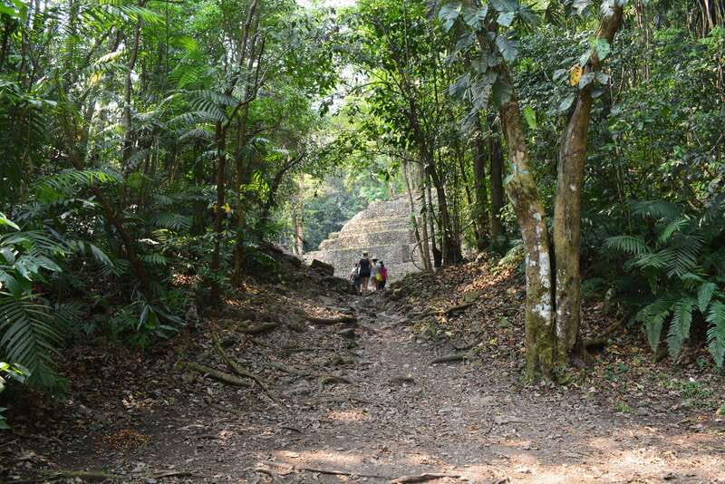 Yaxchilan & Bonampak Ruins and Lacandon Jungle from Palenque - Who this tour fits best, and who should rethink it