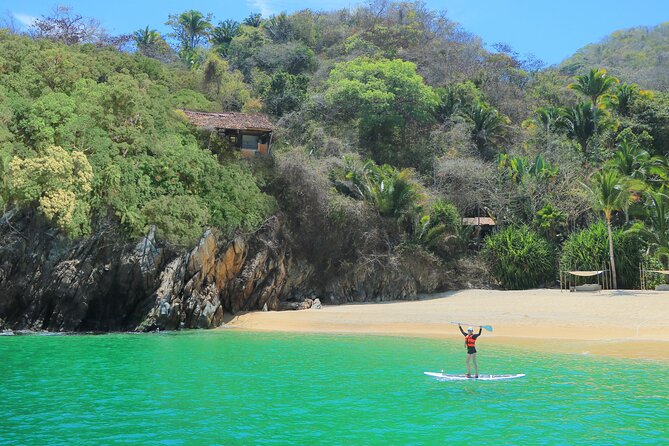 Yelapa Waterfall, BBQ at Exclusive Majahuitas Beach & Open bar - The Boat Ride Experience: Music, Wildlife, and the Crew’s Role