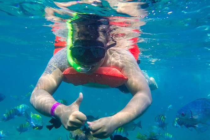 Yelapa Waterfall, BBQ at Exclusive Majahuitas Beach & Open bar - Value Check: Is $99 a Good Deal for This Day?