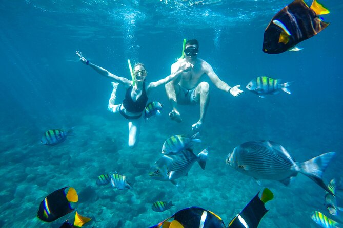 Yelapa Waterfall, BBQ at Exclusive Majahuitas Beach & Open bar - Things That Can Feel Off, and How to Avoid Regret